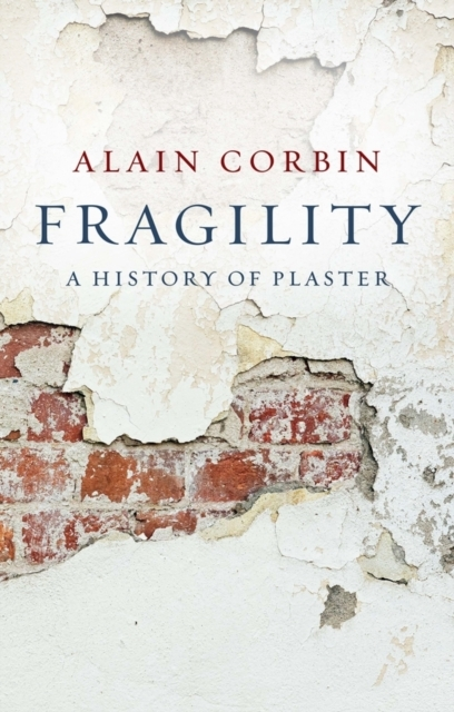 FRAGILITY A HISTORY OF PLASTER