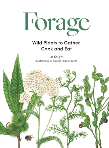 FORAGEWILD PLANTS TO GATHER AND EAT