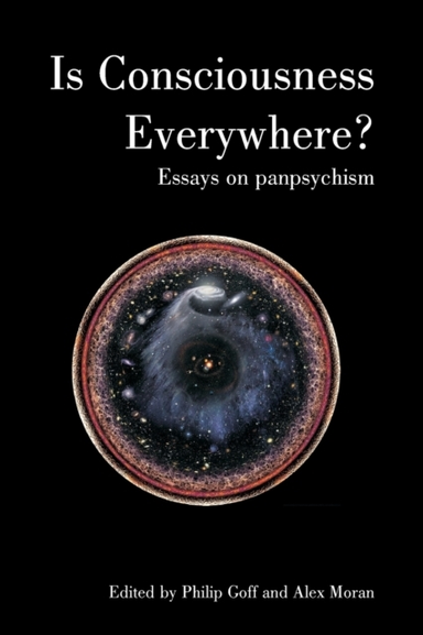 IS CONSCIOUSNESS EVERYWHERE?ESSAYS ON PANPSYCHISM