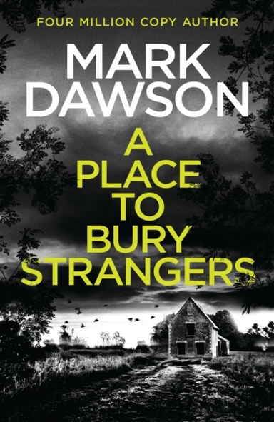 A PLACE TO BURY STRANGERS
