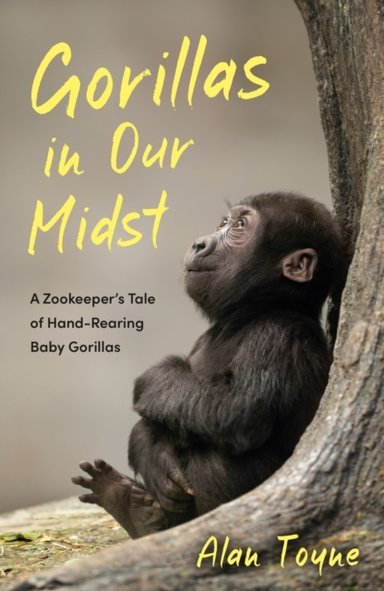 Gorillas In Our Midsta Zookeepers Tale Of Hand-Rearing Baby