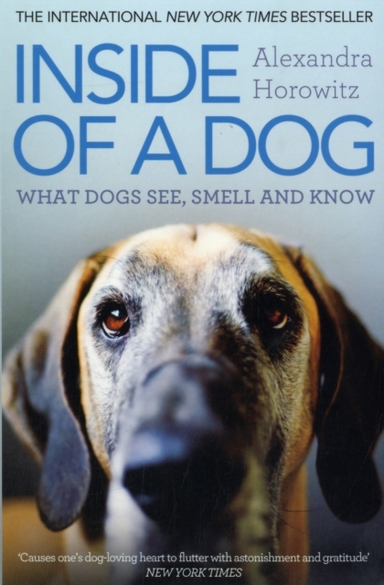 Inside Of A Dogwhat Dogs See Smell And Know