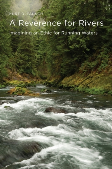 A Reverence For Riversimagining An Ethic For Running Waters