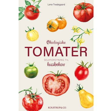 Økologiske Tomater