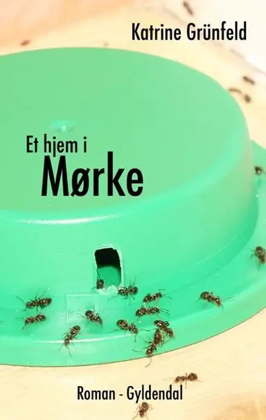 Et hjem i Mørke