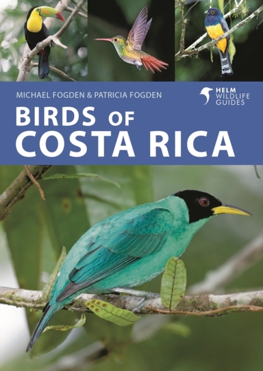 Birds Of Costa Rica