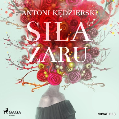 Siła żaru