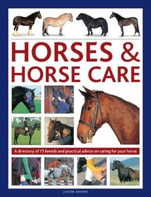 Horses & Horse Care A Directory Of 75 Breeds And Practical A