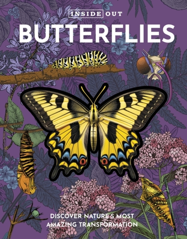 Inside Out Butterfly Discover Nature'S Most Amazing Transfor