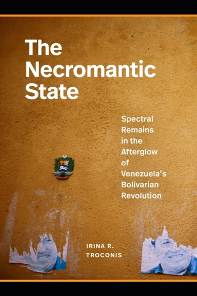 THE NECROMANTIC STATE SPECTRAL REMAINS IN THE AFTERGLOW OF V
