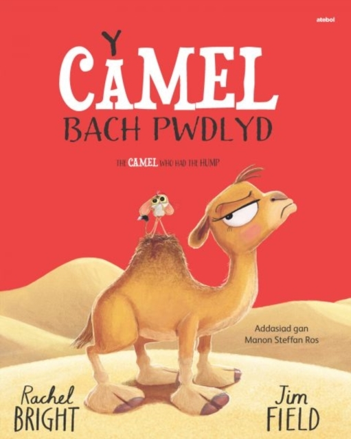 Y Camel Bach Pwdlyd / The Camel Who Had The Hump