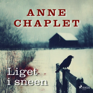 Liget i sneen