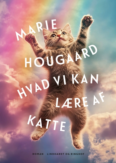 Hvad vi kan lære af katte