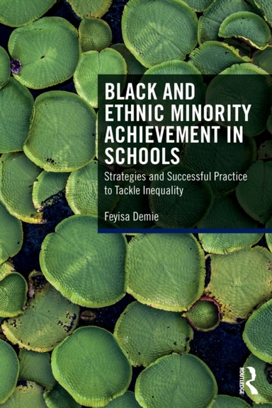 Black And Ethnic Minority Achievement In Schools Strategies