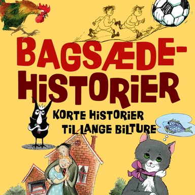 Bagsædehistorier