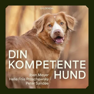 Din kompetente hund