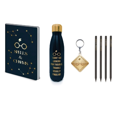 Harry Potter  Metal Vandflaske Honey Dukes 