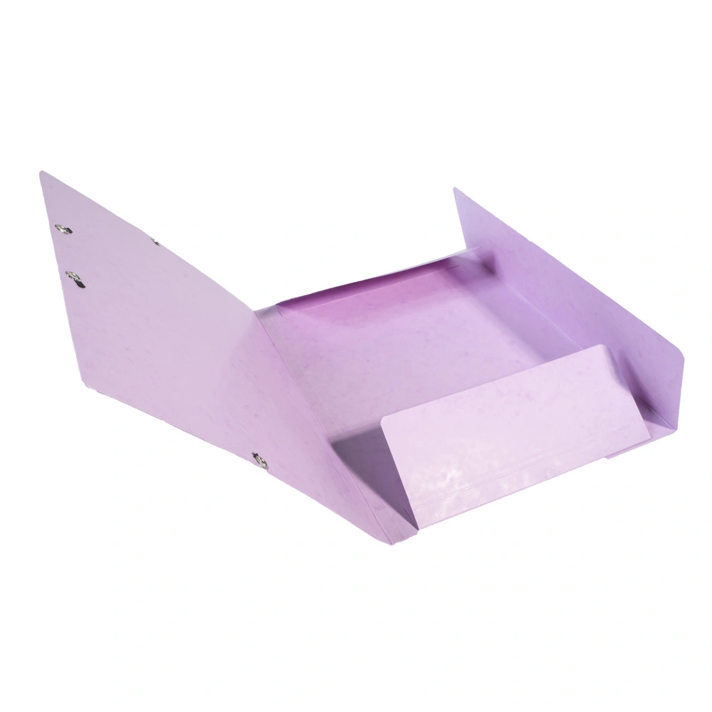 D2 Elastikmappe Exacompta pastel lilla