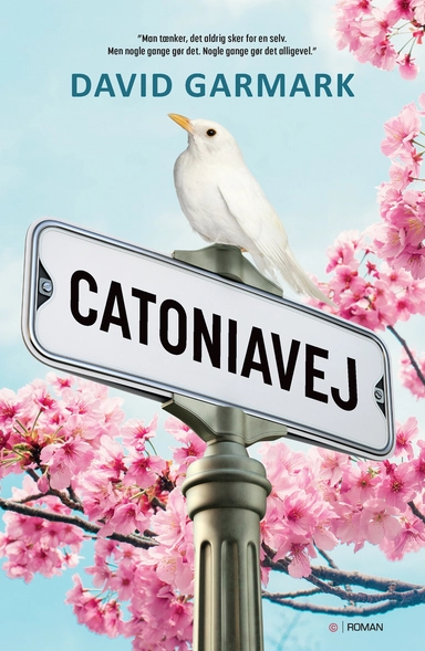 Catoniavej