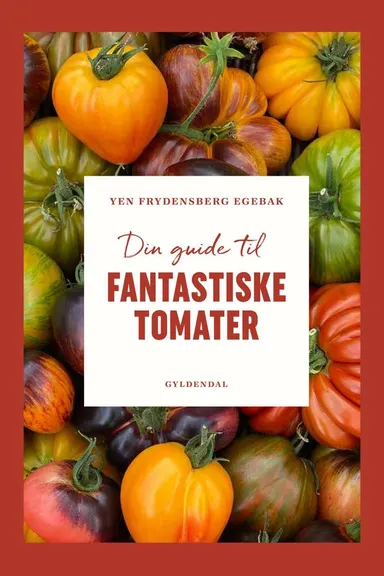 Din guide til fantastiske tomater