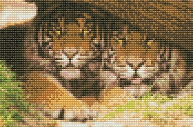 Diamond art 20 x 30 cm