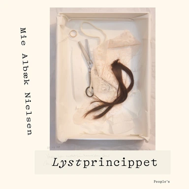 Lystprincippet
