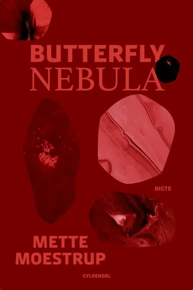 Butterfly Nebula