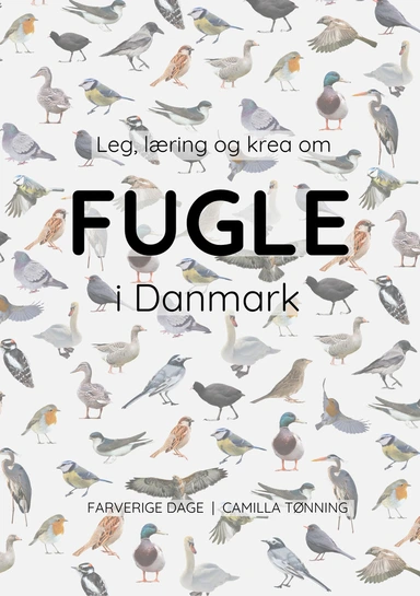 Leg, læring og krea om fugle i Danmark