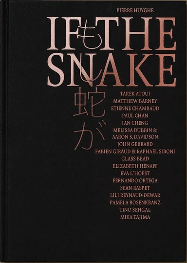 Pierre Huyghe – IF THE SNAKE