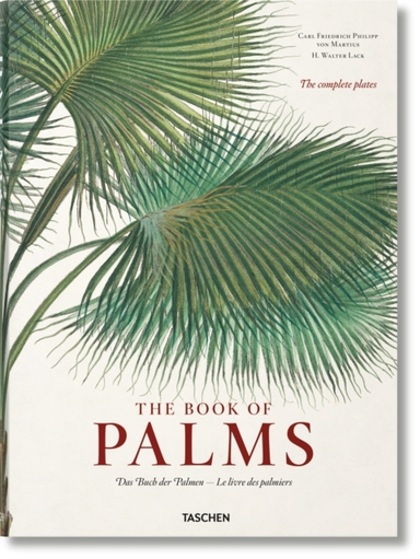 MARTIUS, BOOK OF PALMS