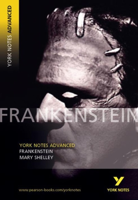 Frankenstein York Notes Advanced English Literature Study Gu
