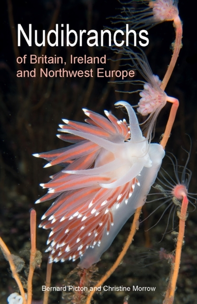 Nudibranchs of Britain, Ireland and Northwest Europe Second