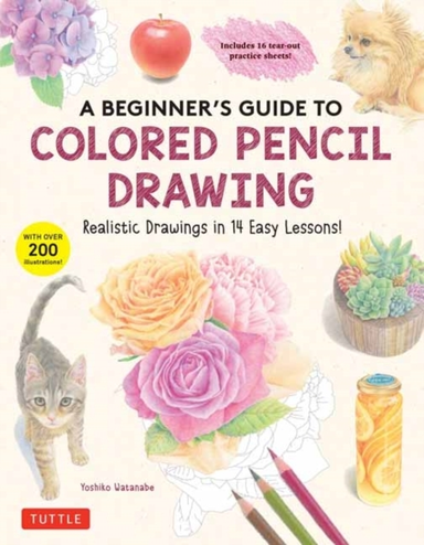A Beginner's Guide to Colored Pencil Drawing Realistic Drawi
