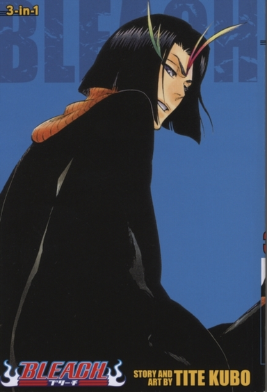 Bleach 3-in-1 Edition, Vol. 13