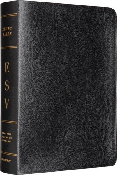 Esv Study Bible