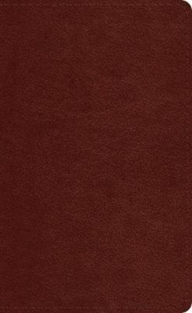 Esv Pocket Bible