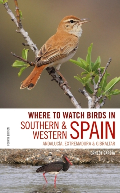 Where to Watch Birds in Southern and Western Spain Andalucia
