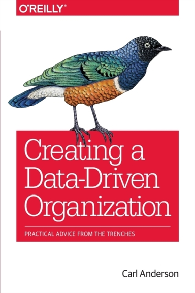 Creating a Data–driven Organization