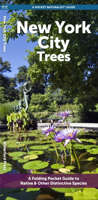 NEW YORK CITY TREES A FOLDING POCKET GUIDE TO FAMILIAR TREES
