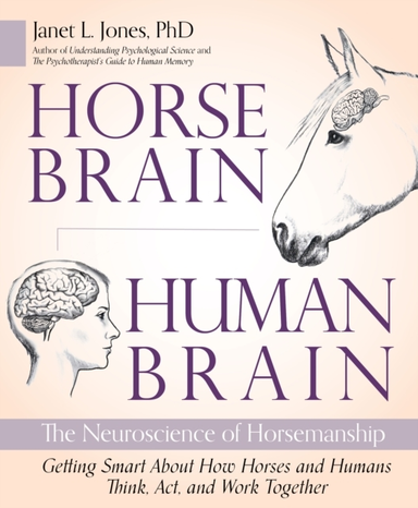 Horse Brain Human Brain