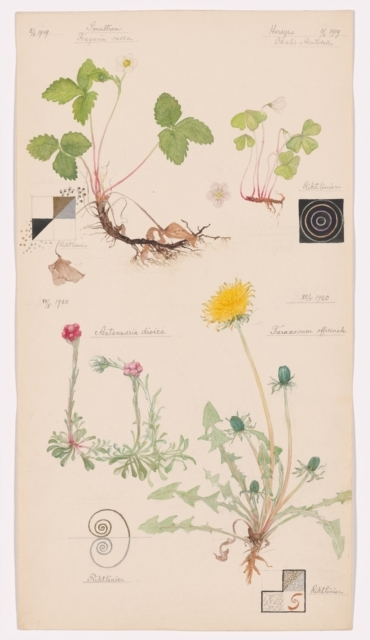 Hilma Af Klint