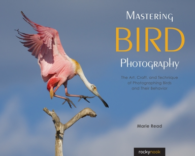 Mastering Bird Photographythe Art Craft and Technique of P