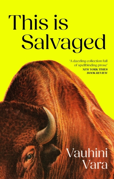 This Is Salvaged
