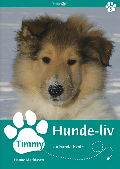 Timmy - en hunde-hvalp