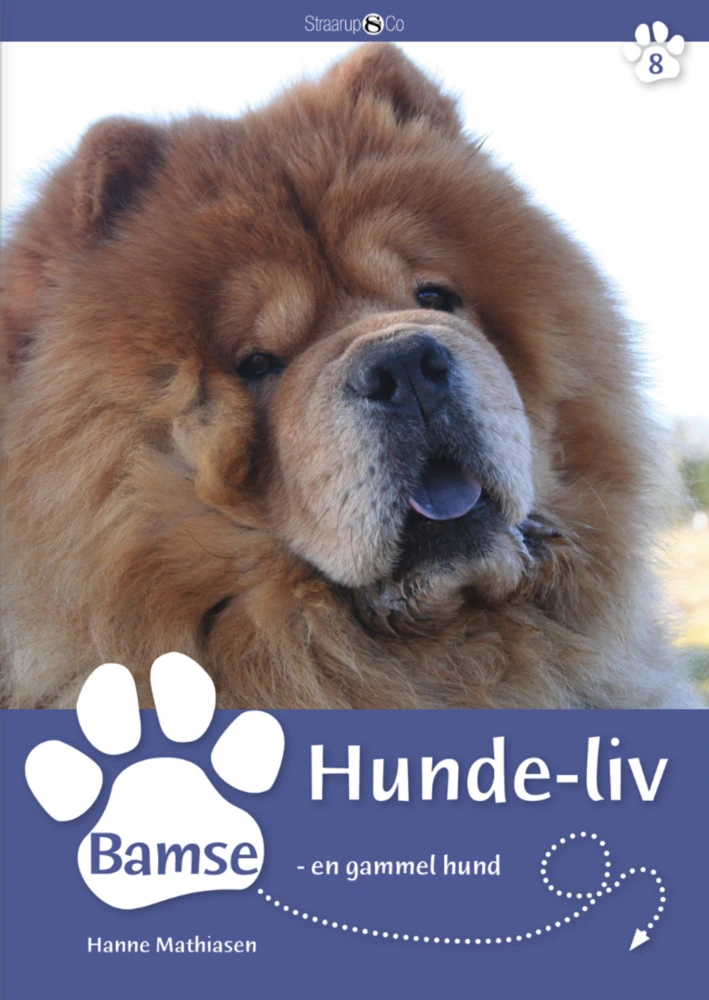 Bamse En Gammel Hund