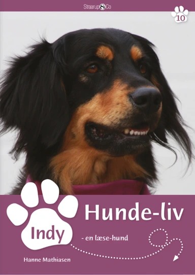 Indy - en læse-hund