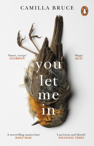 You Let Me Inthe Acclaimed Unsettling Novel of Haunted Love