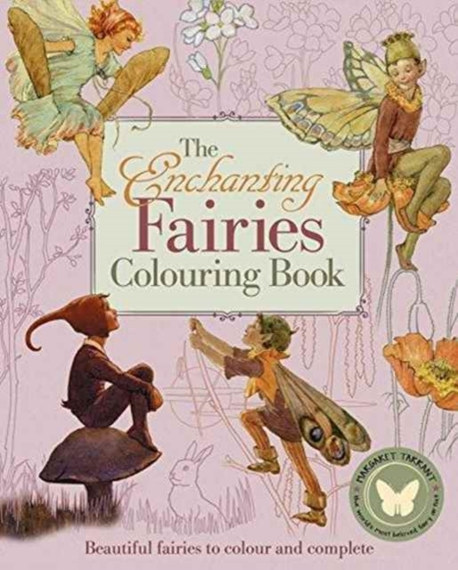 Enchanting Fairies Colouring Book the