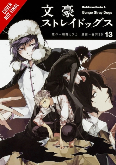 Bungo Stray Dogs Vol. 13