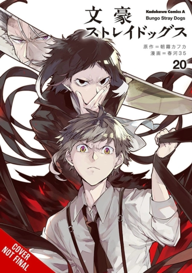 Bungo Stray Dogs Vol. 20
